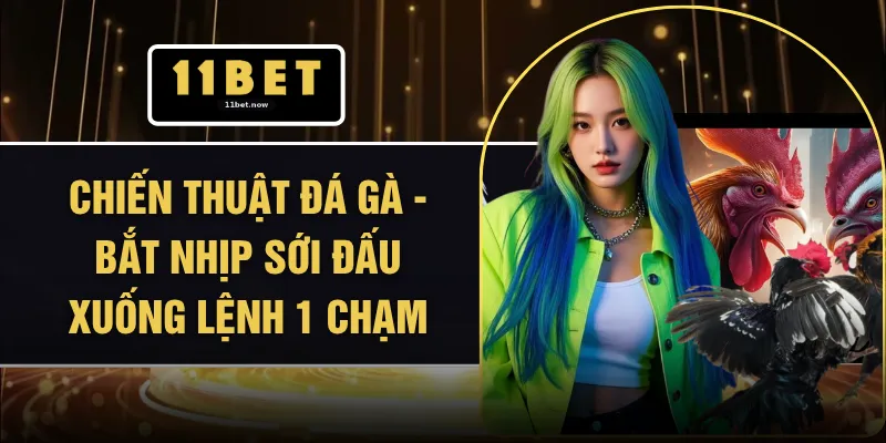 Chiến Thuật Đá Gà - Bắt Nhịp Sới Đấu Xuống Lệnh 1 Chạm 1 Chiến Thuật Đá Gà - Bắt Nhịp Sới Đấu Xuống Lệnh 1 Chạm