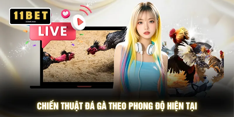 Chiến Thuật Đá Gà - Bắt Nhịp Sới Đấu Xuống Lệnh 1 Chạm 2 Chiến thuật đá gà theo phong độ hiện tại