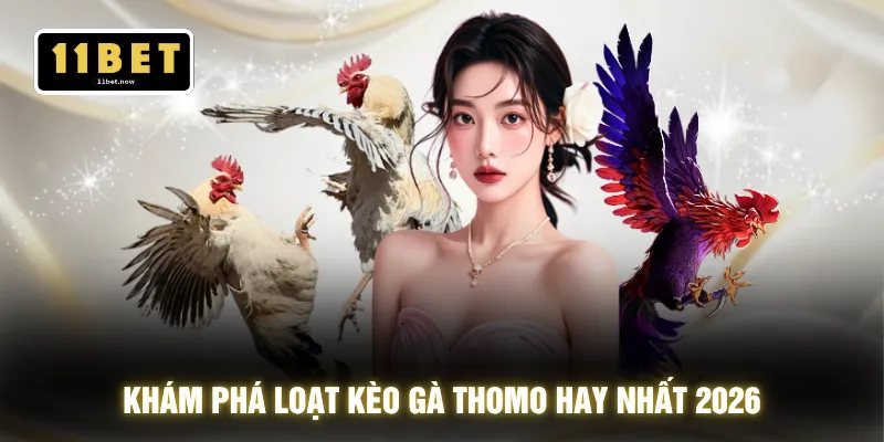 Đá Gà Thomo - Góc Quay Chân Thực Xem Đã Mắt Chuẩn 4K 4 Khám phá loạt kèo gà Thomo hay nhất 2026