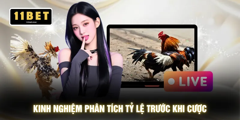 Chiến Thuật Đá Gà - Bắt Nhịp Sới Đấu Xuống Lệnh 1 Chạm 3 Kinh nghiệm phân tích tỷ lệ trước khi cược